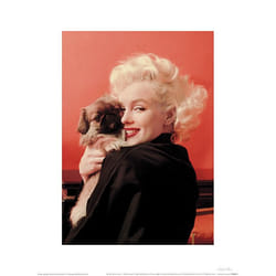Pyramid International PPR44291 poster 1 pc(s)