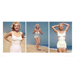 Pyramid International PPR41075 poster 1 pc(s)