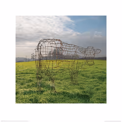 Pyramid International PPR45503, 1 pc(s), Pink Floyd, Square