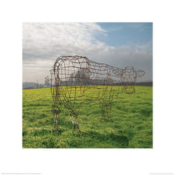 Pyramid International PPR45503 poster 1 pc(s)