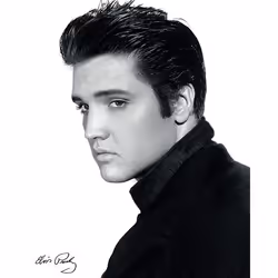 Pyramid International WDC94496, 1 pc(s), Elvis Presley, Rectangle