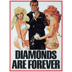 Pyramid International WDC99469 poster 1 pc(s)