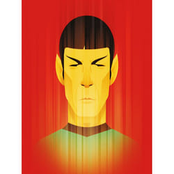 Pyramid International WDC99762 poster 1 pc(s)