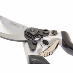 Anvil Pruner