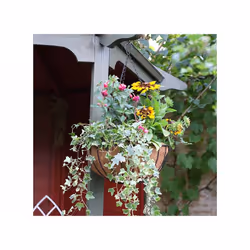 Smart Solar Smart Hanging Basket 14 inch 6030021