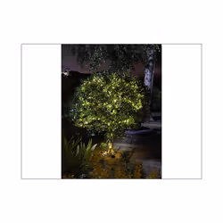 Smart Solar Firefly String Lights x 50 1060258