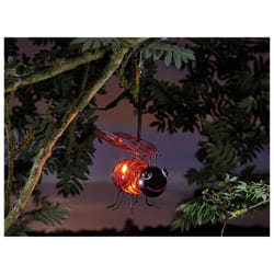 Smart Solar Bug Light Ladybird 1080019