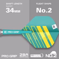 Darts Rob Cross 22G Brass Steel Tip Darts Set â Voltage Dart Set, Rob Cross Player Edition, Complete Steel Point Darts Kit, Storage Wallet Included
