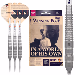 TARGET Darts Raymond Van Barneveld RVB 25 Year Edition 23G 95% Tungsten Swiss Point Steel Tip Darts Set