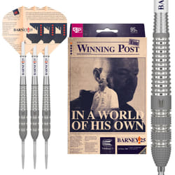 TARGET Darts Raymond Van Barneveld RVB 25 Year Edition 23G 95% Tungsten Swiss Point Steel Tip Darts Set