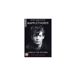 Mapplethorpe: Look at the Pictures (DVD)