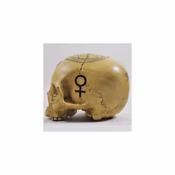 Witchcraft Skull Ornament. Spooky Magical Halloween Decoration. Gothic Pagan Celtic.