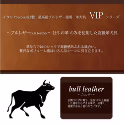 Ferplast VIP Ga18/200 Dog Lead, 18 mm/ 120 x 200 cm, Brown