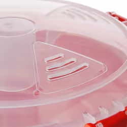 Sistema Microwave Rice Cooker 2.6L Dishwasher Safe Small Rice Cooker BPA Free Red Clear