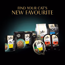 Sheba Fine Flakes Poultry Collection in Jelly 72 Pouches, Wet Cat Food