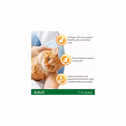 IAMS for Vitality dry cat food with chicken - dry food for cats aged 1-6 years, 10kg