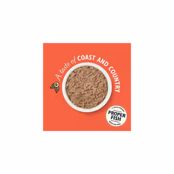 Lily's Kitchen Adult Catch of the Day Complete Wet Cat Food, 19 x 85 g