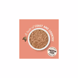 Lily's Kitchen Adult Catch of the Day Complete Wet Cat Food, 19 x 85 g
