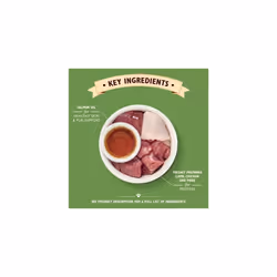 Lily's Kitchen Adult Lamb Casserole Complete Wet Cat Food (19 x 85 g)
