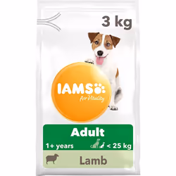 IAMS Complete Dry Dog Food for Adult 1+ Small and Medium Breeds with Lamb 3 kg