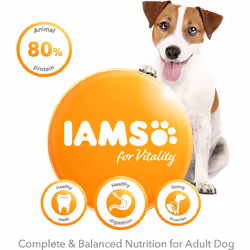 IAMS Complete Dry Dog Food for Adult 1+ Small and Medium Breeds with Lamb 3 kg