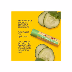 Burt's Bees Lip Balm Multipack, Lip Balm Set With Beeswax, Cucumber Mint, Watermelon, Sweet Mandarin, Freshly Picked, 4x4.25g
