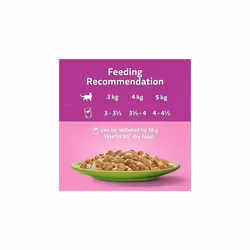 Whiskas 1+ Adult Mixed Selection in Jelly 84 Pouches, Adult Wet Cat Food, Megapack (84 x 85 g)