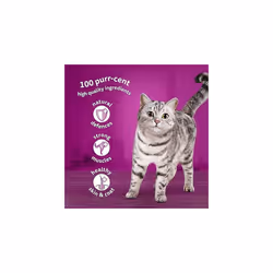 Whiskas 1+ Adult Classic Selection in Gravy 84 Pouches, Adult Wet Cat Food, Megapack (84 x 85 g)