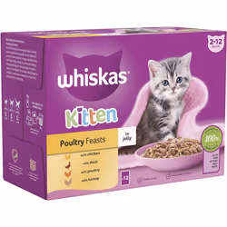 Whiskas Junior Poultry Selection in Jelly 48 x 85 g Pouches, Kitten Cat Food, Pack of 4 (12 x 85 g)