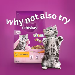 Whiskas Junior Poultry Selection in Jelly 84 Pouches, Wet Kitten & Cat Food, Selection of Chicken, Duck, Poultry & Turkey, Megapack (84 x 85 g)