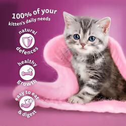 Whiskas Junior Poultry Selection in Jelly 84 Pouches, Wet Kitten & Cat Food, Selection of Chicken, Duck, Poultry & Turkey, Megapack (84 x 85 g)