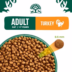 James Wellbeloved Adult Turkey 1.5 kg Bag, Hypoallergenic Dry Cat Food