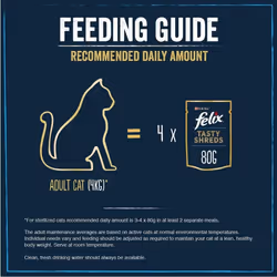 FELIX TASTY SHREDS Mixed Selection in Gravy, Blue, 40 pouches