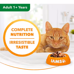 IAMS Delights Complete Wet Cat Food for Adult 1+ Cats Meat and Fish Variety in Jelly Multipack 48 x 85 g Pouches
