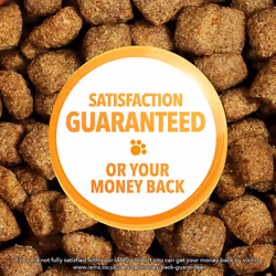 IAMS Complete Dry Cat Food for Senior 7+ Cats with Chicken 3 kg