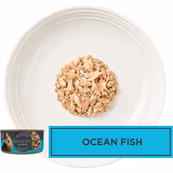 Encore 100% Natural Cat Food, Ocean Fish In Broth Tin 70 g (Pack of 16)