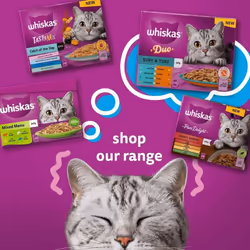 Whiskas 1+ Fish Selection in Jelly 40 x 85 g Pouches, Adult Cat Food