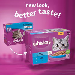 Whiskas 11+ Fish Selection in Jelly 48x85g Pouches, Senior Cat Food (12x85g)