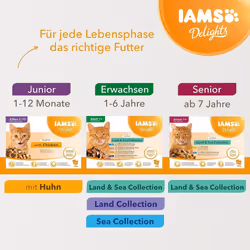 IAMS Delights Complete Wet Cat Food for Senior 7+ Cats Meat and Fish Variety in Gravy Multipack 12 x 85 g Pouches