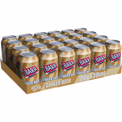 BARR since 1875, Ginger Beer, 24 pack Fizzy Drink Cans, Low Sugar, 24 x 330 ml