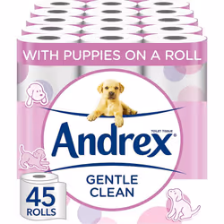 Andrex Gentle Clean Toilet Rolls - 45 Toilet Roll Pack - Bulk Buy Toilet Rolls - Gentle and Soft on Your Family's Skin - Derm ...