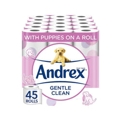 Andrex Gentle Clean Toilet Rolls - 45 Toilet Roll Pack - Bulk Buy Toilet Rolls - Gentle and Soft on Your Family's Skin - Dermatologically Tested