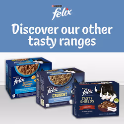 Felix Adult Wet Cat Food Fish Selection in Jelly 40 x 100g Pouches