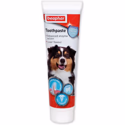 Beaphar | Advanced Dual-Enzyme Toothpaste | Dental Care for Dogs & Cats | Helps Prevent Bad Breath & Combat Plaque | Liver-Fl ...