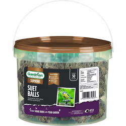 Gardman A04294 Energy Suet Fat Balls 50 Tub Bird Food, Natural, 27 x 27 x 21 cm