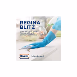 Regina Blitz Household Towel, 560 Super-Sized Sheets, Triple Layered Strength, 8 Count (Pack of 1) Regina Store