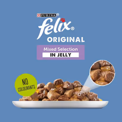 Felix Original Mixed Selection In Jelly Cat Food, 100 g (Pack of 40)