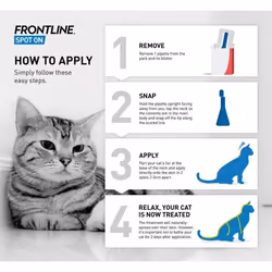 FRONTLINE Spot On Flea & Tick Treatment for Cats - 6 Pipettes