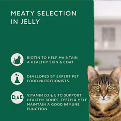 Cats Food Complete Food for Adult Cats, Meat Selection in Jelly, 4.8 kg (48 Packs of 100g)