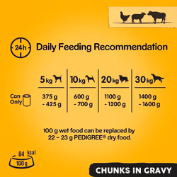 Pedigree Adult Wet Dog Food for Adult Dogs - Can Mixed Selection in Gravy 12 x 400 g